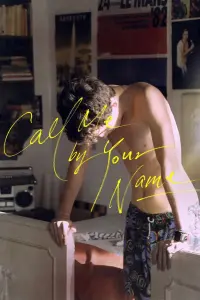 Poster to the movie "Call Me by Your Name" #37198