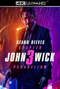 Poster to the movie "John Wick: Chapter 3 - Parabellum" #19403