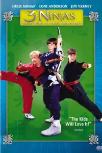 Poster to the movie "3 Ninjas: High Noon at Mega Mountain" #396549