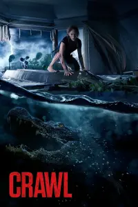 Poster to the movie "Crawl" #62945