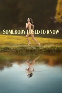 Poster to the movie "Somebody I Used to Know" #68185