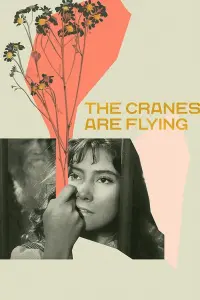 Poster to the movie "The Cranes Are Flying" #181582