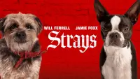 Backdrop to the movie "Strays" #12981