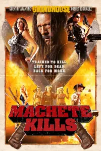 Poster to the movie "Machete Kills" #338920