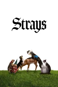 Poster to the movie "Strays" #12988