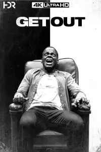 Poster to the movie "Get Out" #172058