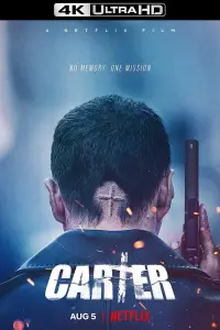 Poster to the movie "Carter" #57761