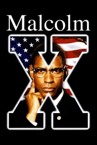 Poster to the movie "Malcolm X" #112566