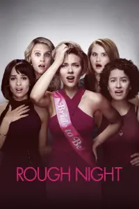 Poster to the movie "Rough Night" #107104