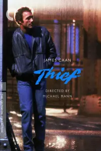 Poster to the movie "Thief" #133954