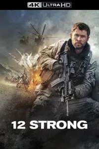 Poster to the movie "12 Strong" #49584