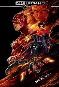 Poster to the movie "The Flash" #3728