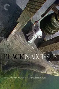 Poster to the movie "Black Narcissus" #153048