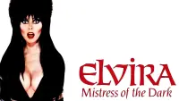 Backdrop to the movie "Elvira, Mistress of the Dark" #129951