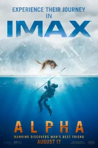 Poster to the movie "Alpha" #318109