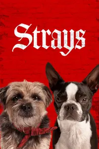 Poster to the movie "Strays" #13000