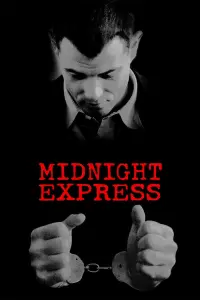 Poster to the movie "Midnight Express" #116062