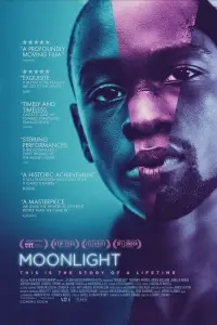 Poster to the movie "Moonlight" #93011