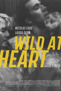 Poster to the movie "Wild at Heart" #134646