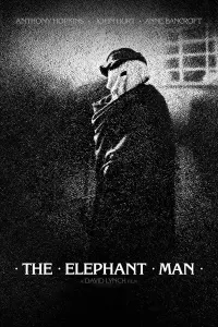 Poster to the movie "The Elephant Man" #124271