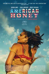 Poster to the movie "American Honey" #261724