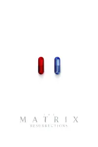 Poster to the movie "The Matrix Resurrections" #314355