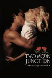 Poster to the movie "Two Moon Junction" #328260