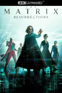 Poster to the movie "The Matrix Resurrections" #314435