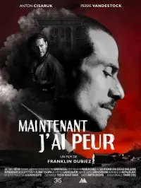 Poster to the movie "Maintenant, j’ai peur" #415671