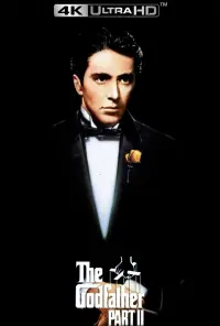 Poster to the movie "The Godfather Part II" #22736