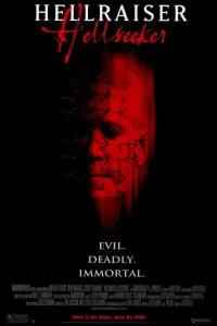 Poster to the movie "Hellraiser: Hellseeker" #152303