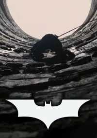 Poster to the movie "The Dark Knight Rises" #516033