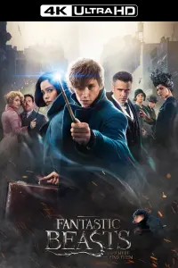 Poster to the movie "Fantastic Beasts and Where to Find Them" #25103