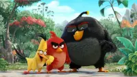 Backdrop to the movie "The Angry Birds Movie" #296937