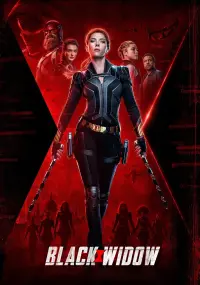 Poster to the movie "Black Widow" #23510