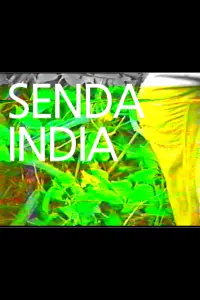 Poster to the movie "Senda india" #636023