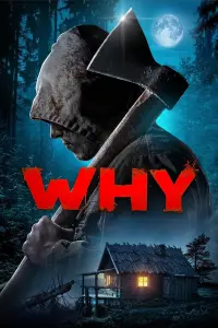 Poster to the movie "Why?" #481285