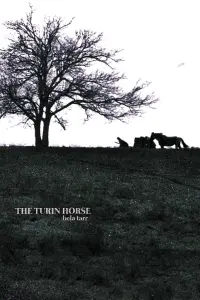 Poster to the movie "The Turin Horse" #201330