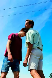 Poster to the movie "Call Me by Your Name" #176979