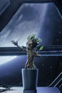 Poster to the movie "Groot