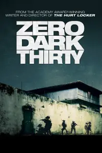 Poster to the movie "Zero Dark Thirty" #248595