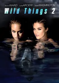 Poster to the movie "Wild Things 2" #134104