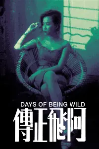 Poster to the movie "Days of Being Wild" #663257