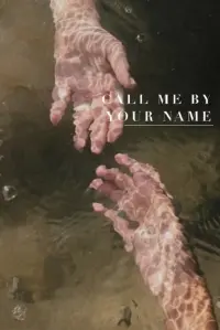 Poster to the movie "Call Me by Your Name" #37228