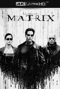 Poster to the movie "The Matrix" #14324