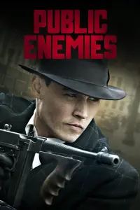 Poster to the movie "Public Enemies" #271241