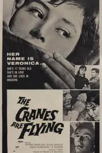 Poster to the movie "The Cranes Are Flying" #181591