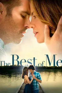 Poster to the movie "The Best of Me" #214282