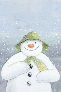 Poster to the movie "The Snowman" #374191