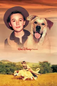 Poster to the movie "Old Yeller" #146173